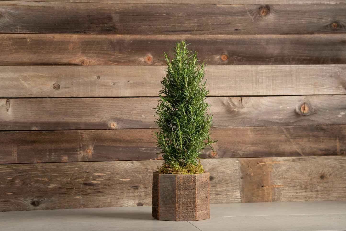 Geometric Reclaimed Wood Planter