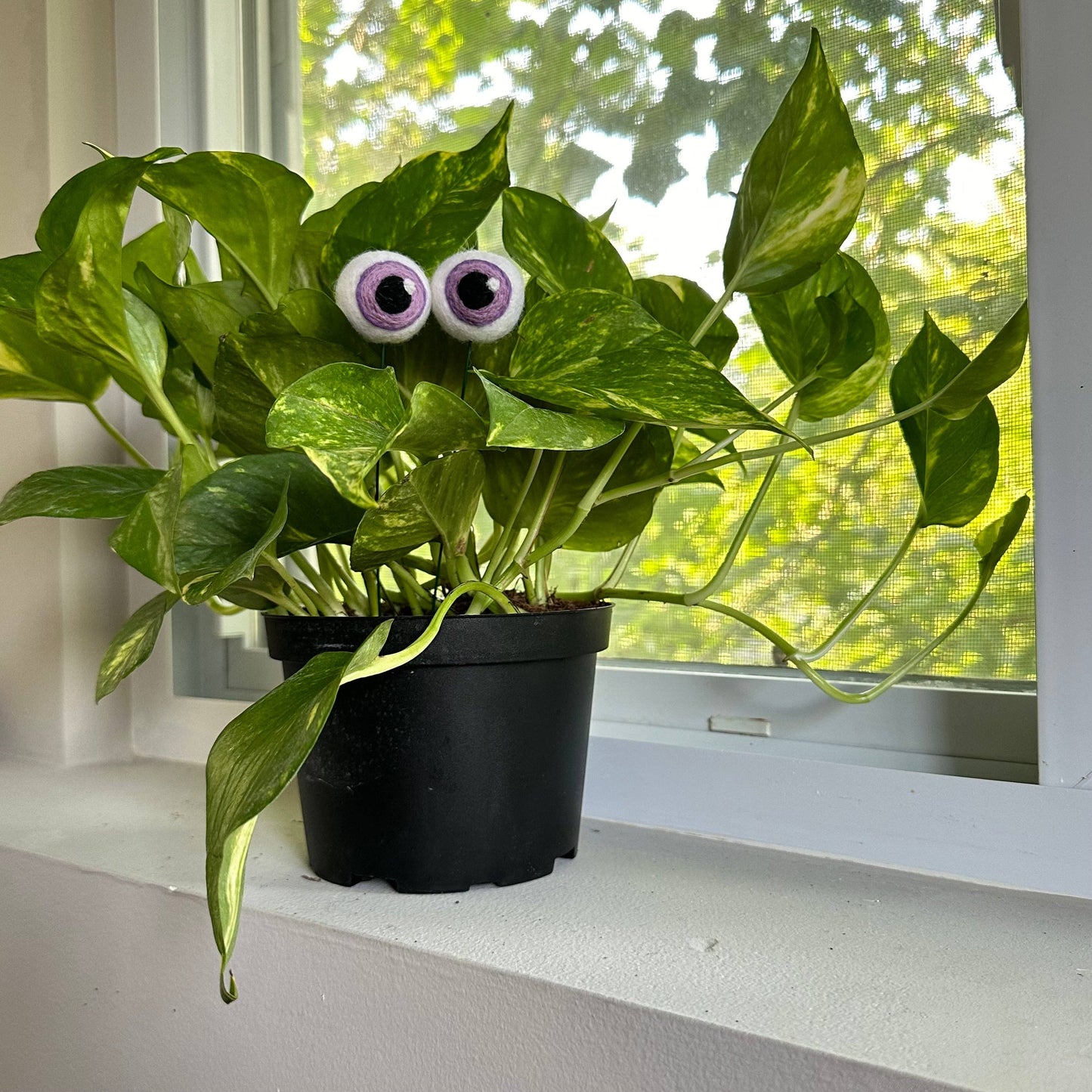 Felt Plant Eyes