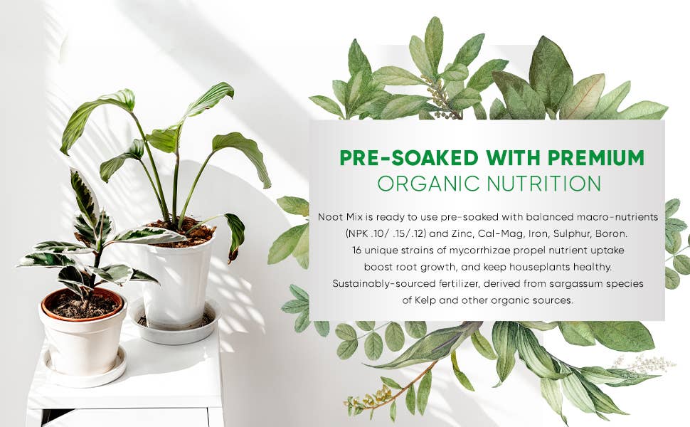 Noot Mix Coco-Based Houseplant Potting Mix