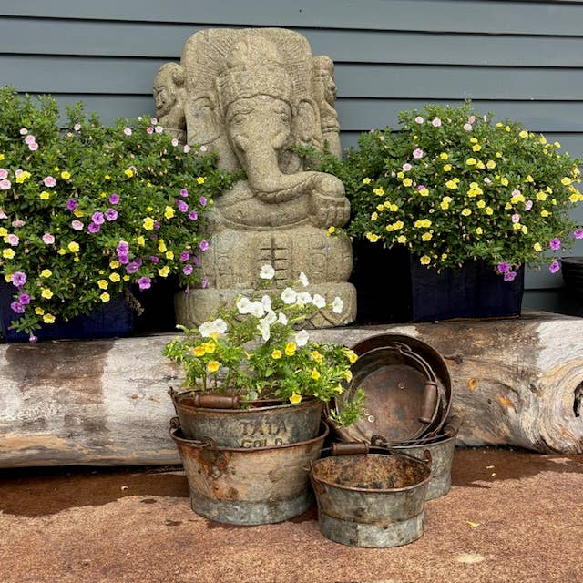 Galvanized Wide Bucket