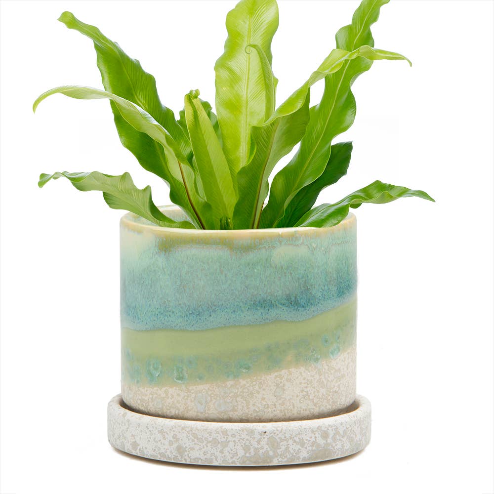 Minute Pot & Saucer