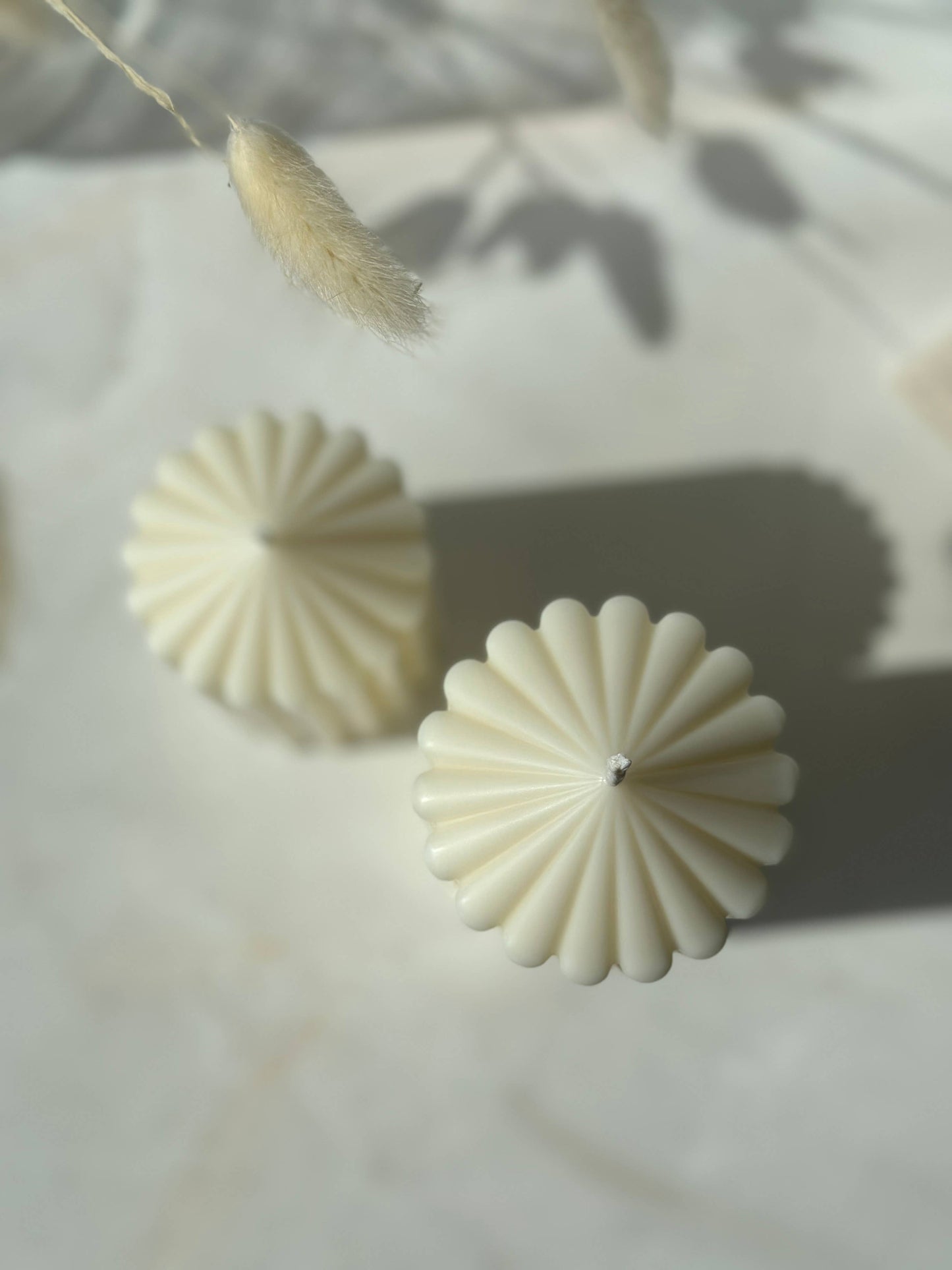 Cream & White Tea