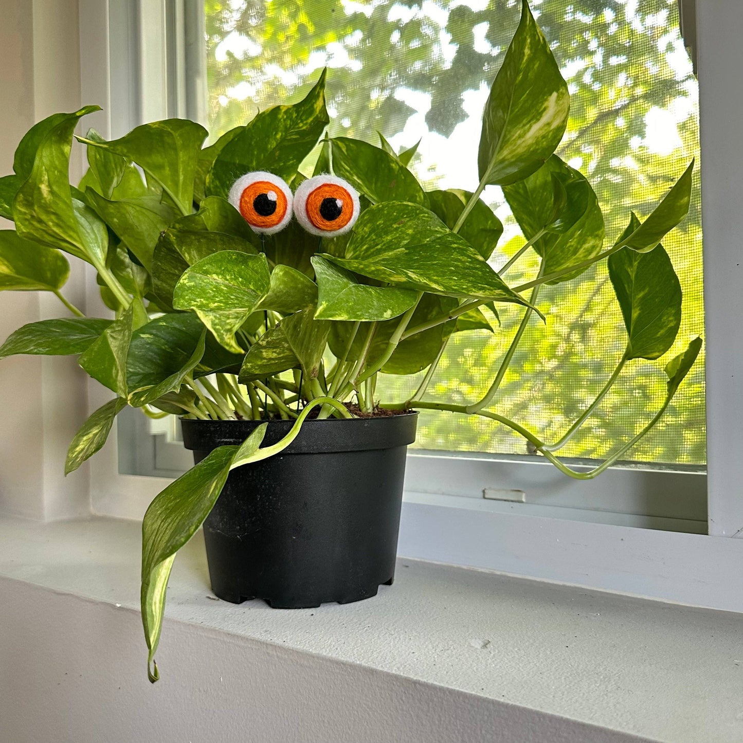 Felt Plant Eyes