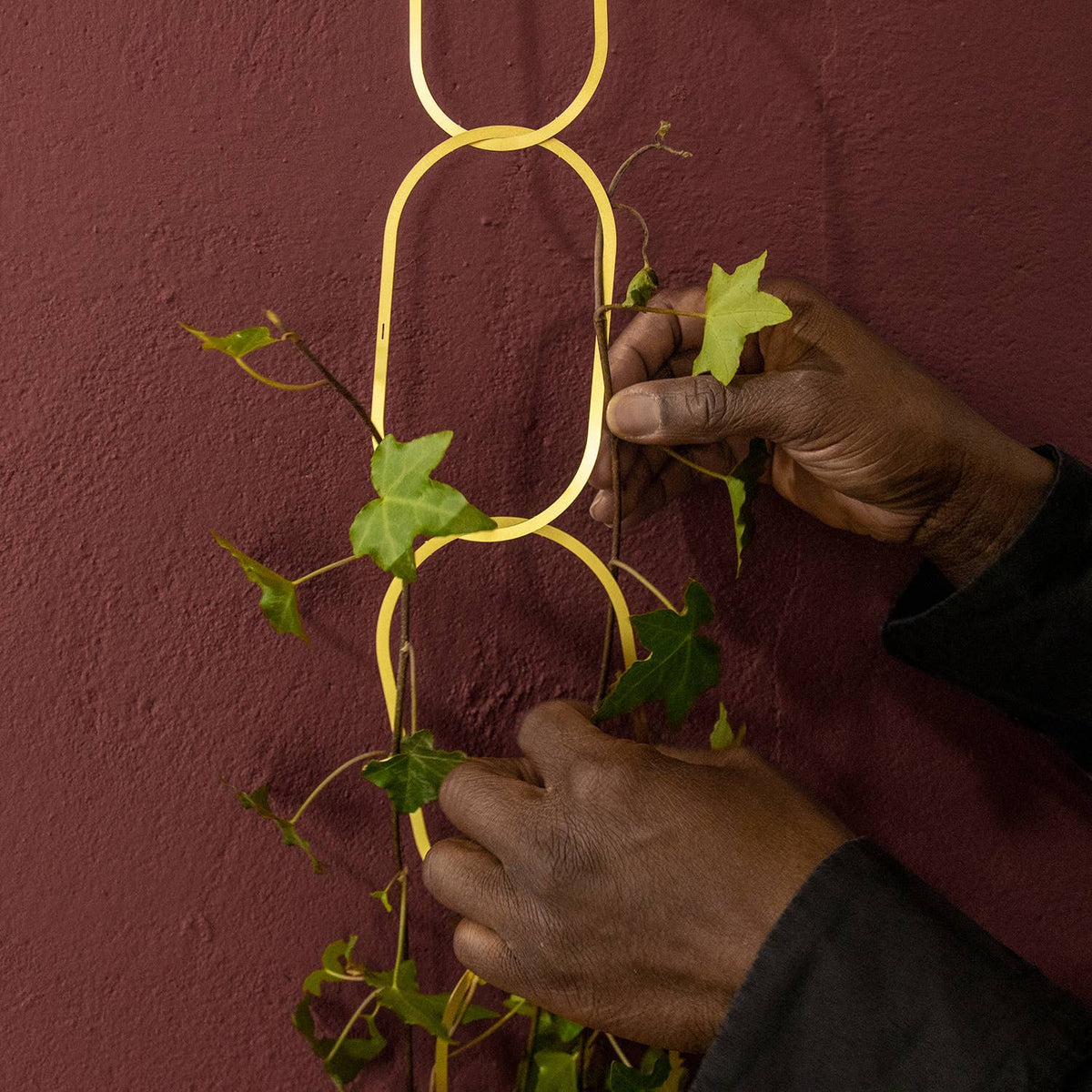 Climbing Plant Gold Brass Chain