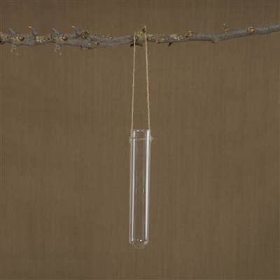 Hanging Glass Tube Vase