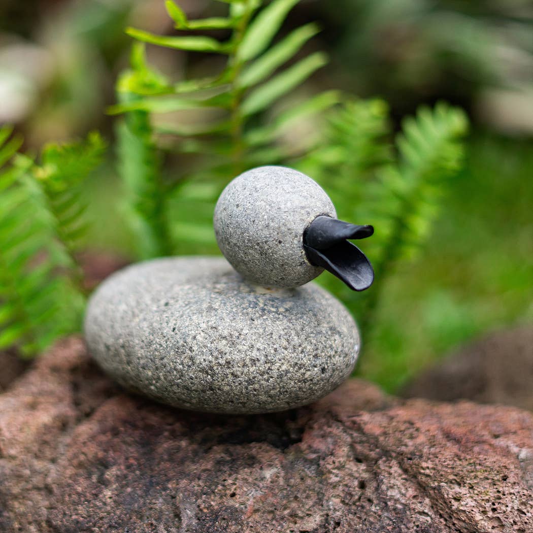 Pebble Duck