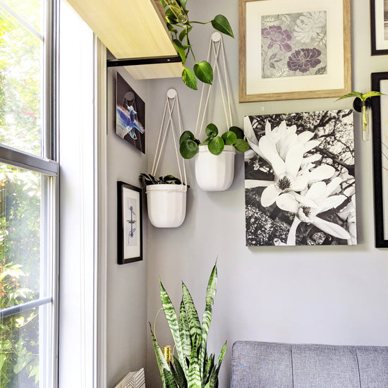 Loop Hanging Planter in White