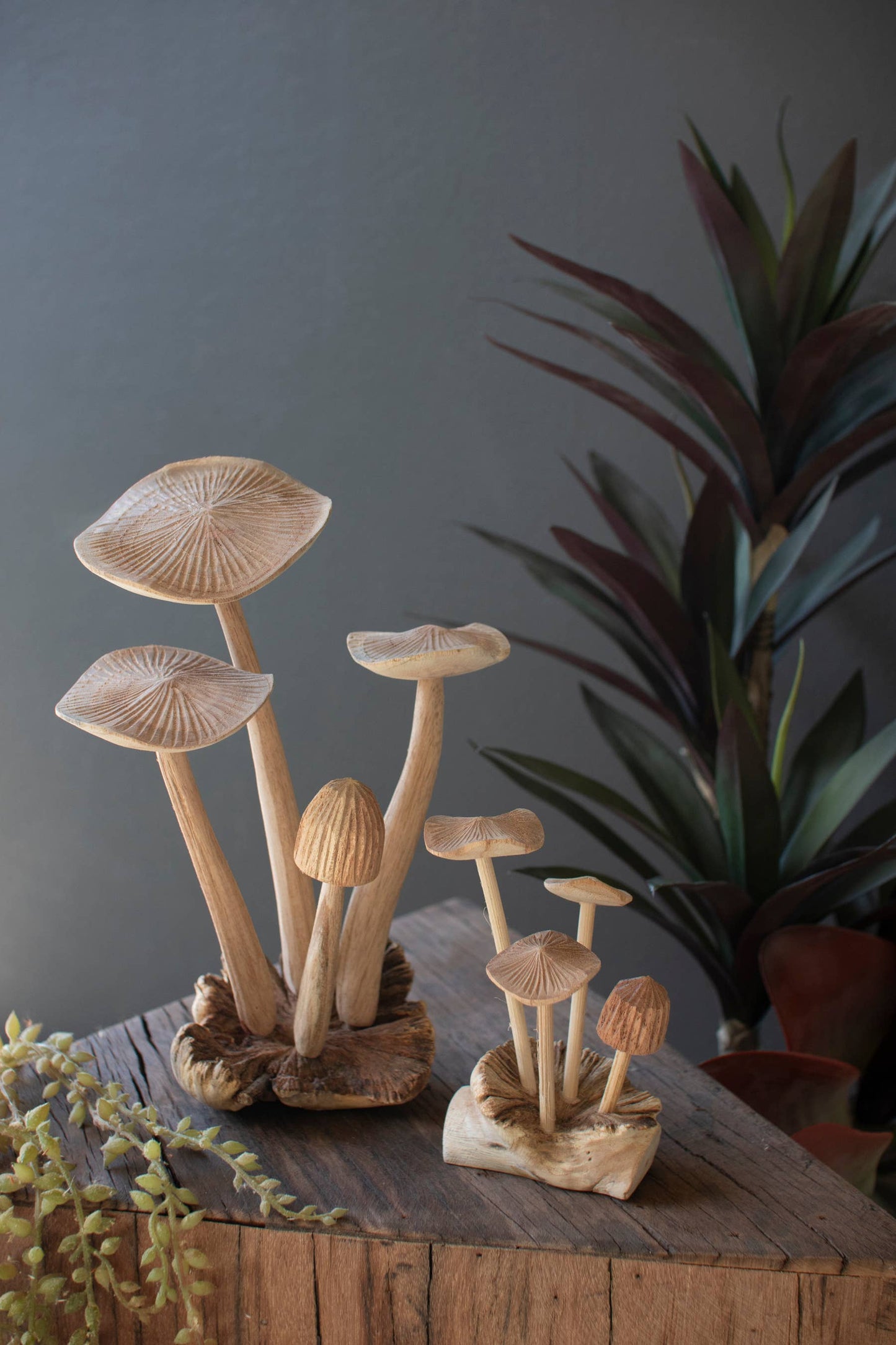 Hand Carved Teak Wood Mushrooms