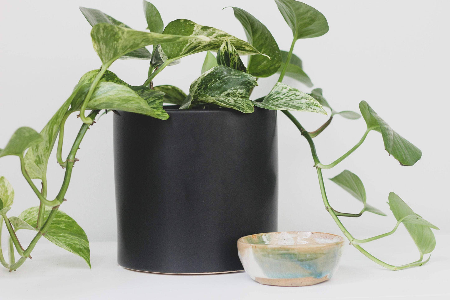 Matte Black Ceramic Mini Planter