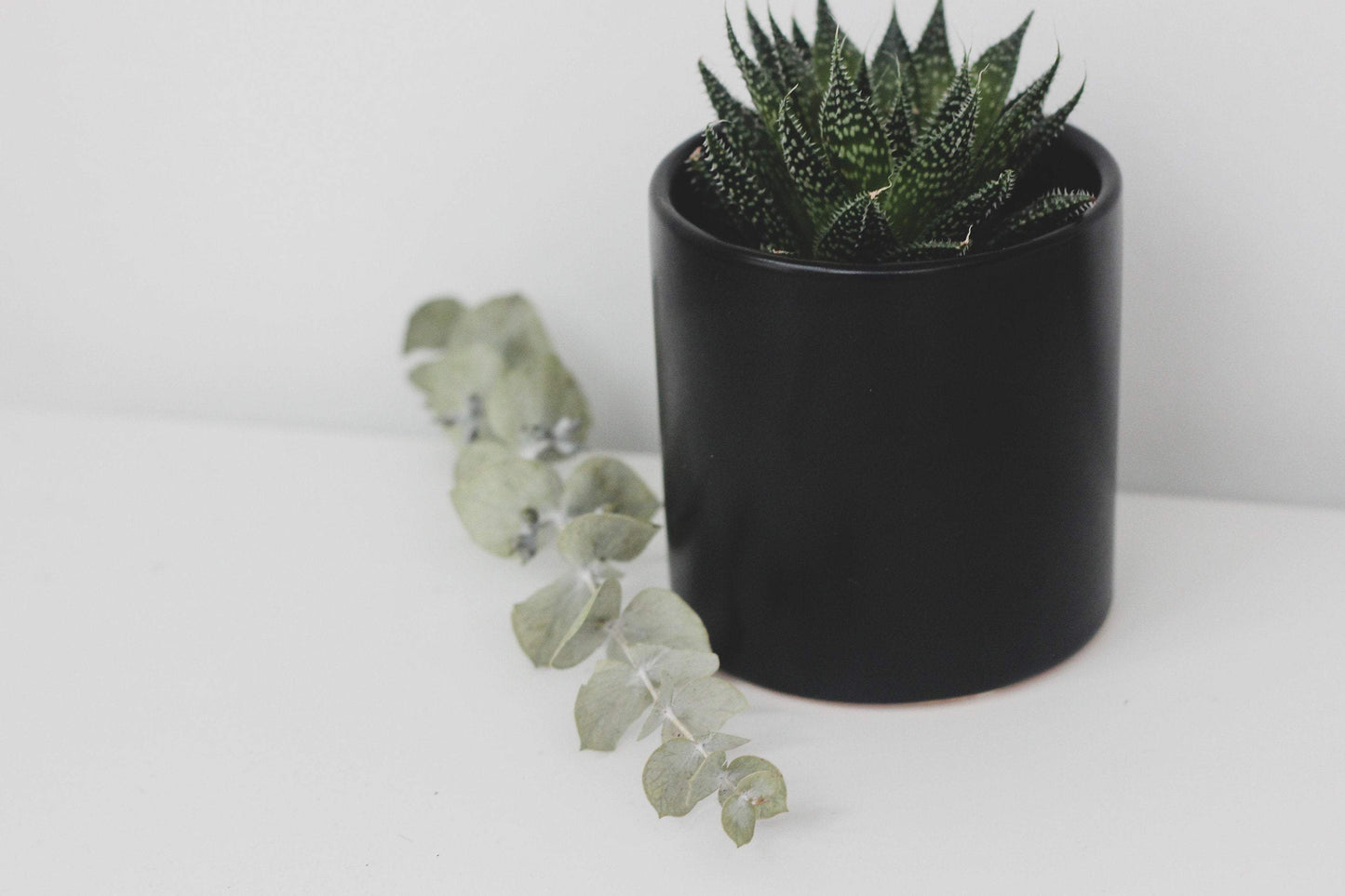 Matte Black Ceramic Mini Planter