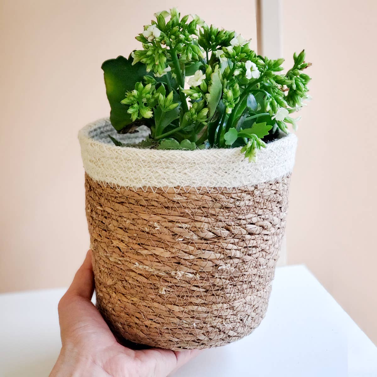 Handwoven Savar Plant Basket