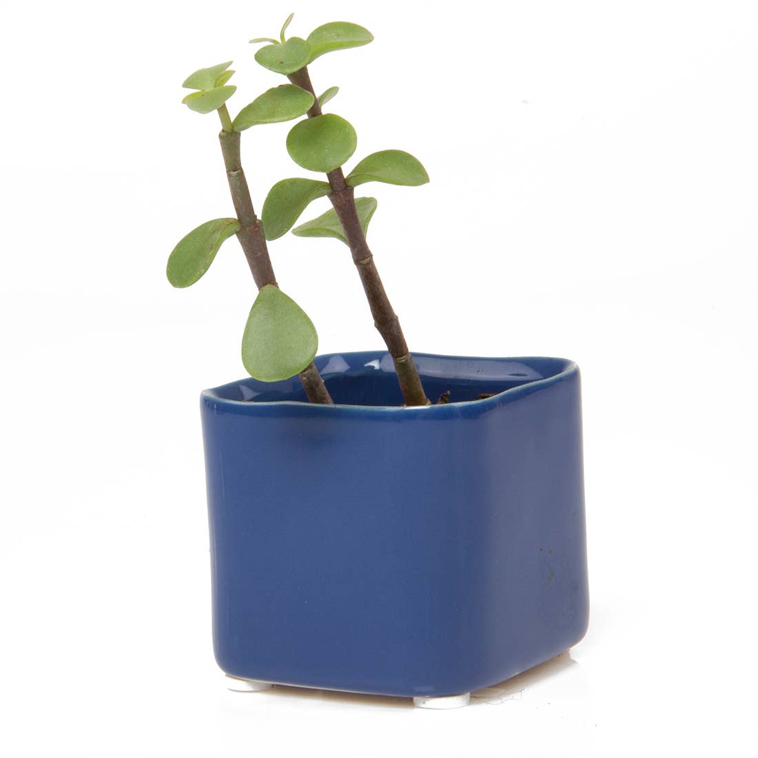 Mini Cube Ceramic Pots