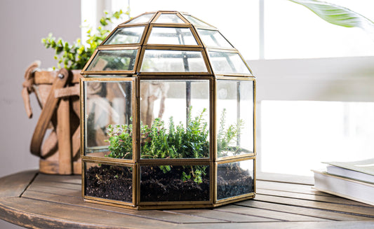 Bronze Bird Cage Terrarium