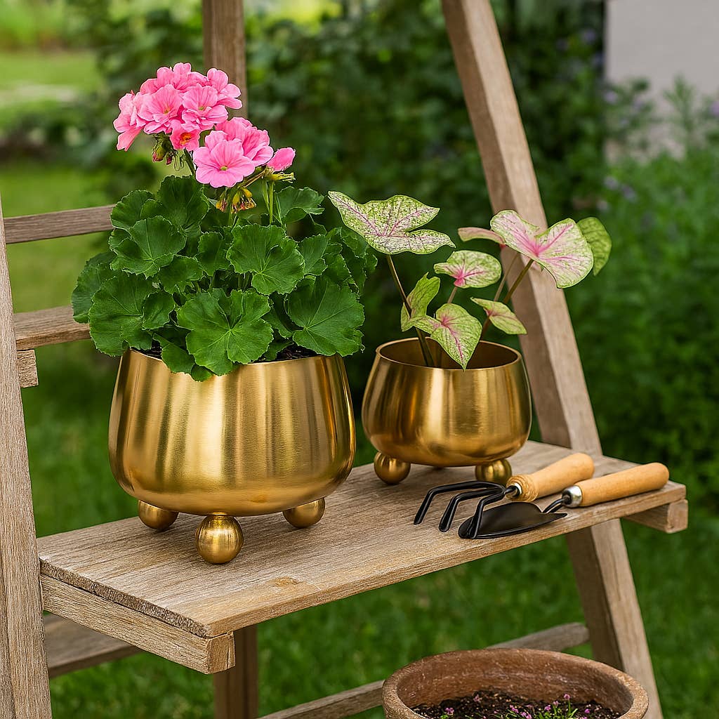 Gold Metal Ball Footed Pot