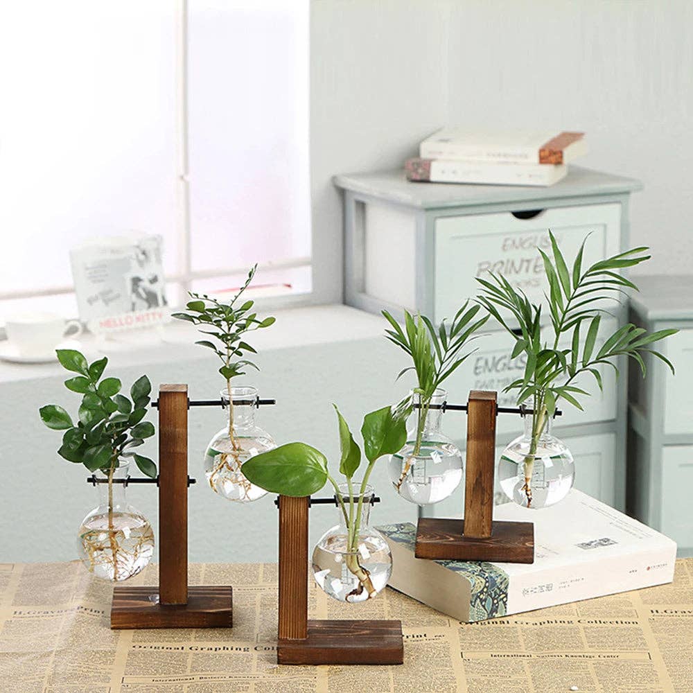 Propagation Vase Stand