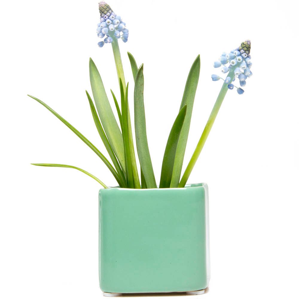 Mini Cube Ceramic Pots