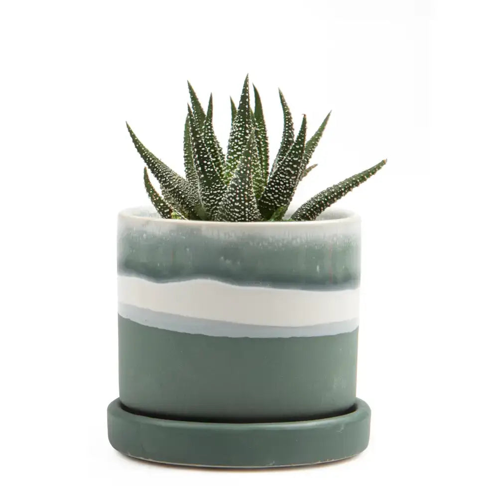 Minute Pot & Saucer