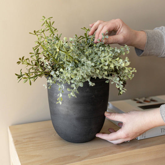 Lachlan Smoke Planter