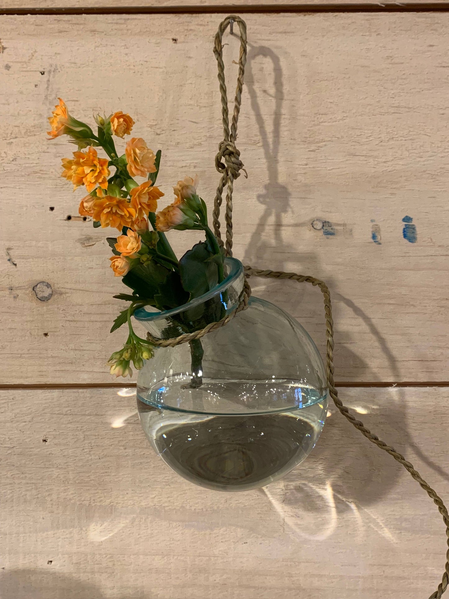 Hanging Glass Planter