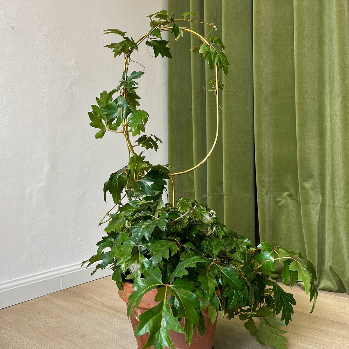 Golden Arch Plant Stake