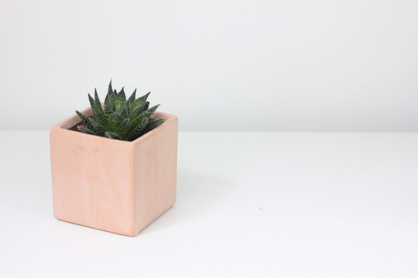 Terracotta Blush Cube Planter 3"