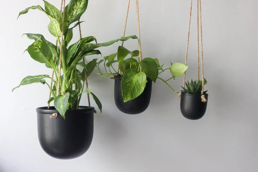Ceramic Hanging Planter