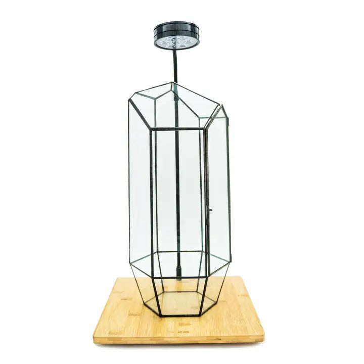 Terrarium Workshop