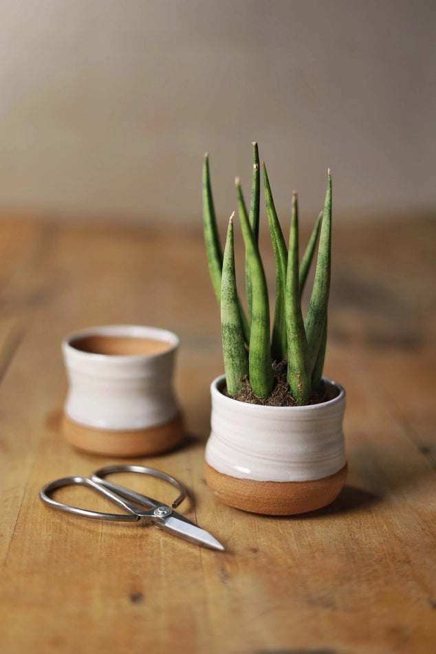 Handmade Pottery Mini Pots