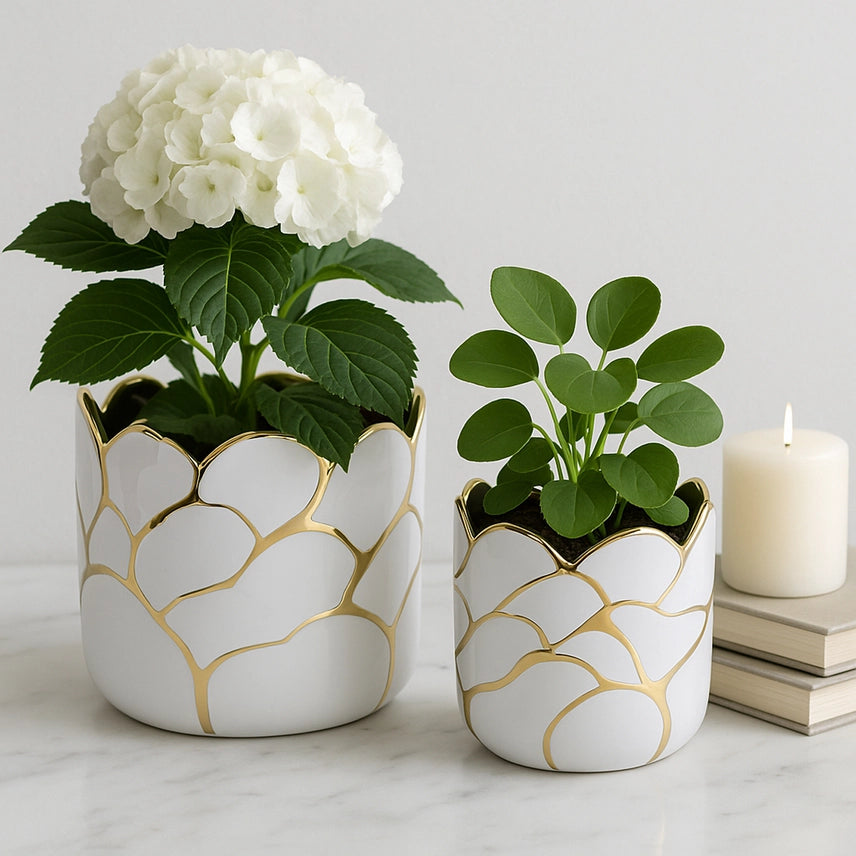 Cloud Planter