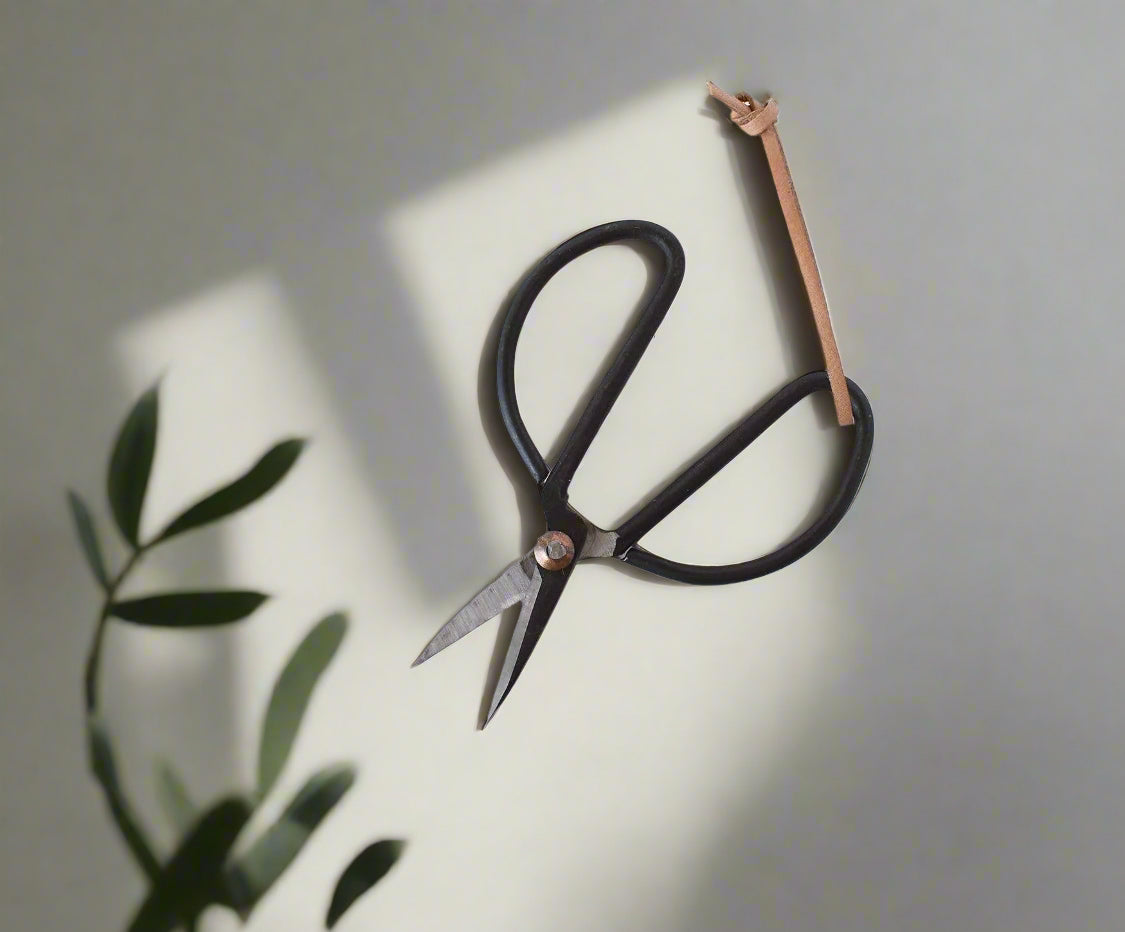 Garden Scissors