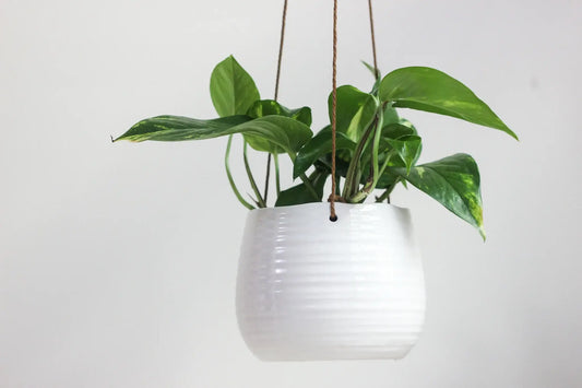 Ribbed Glossy White Hanging Pot