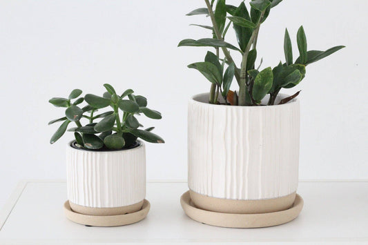 White Textured Ceramic Pot