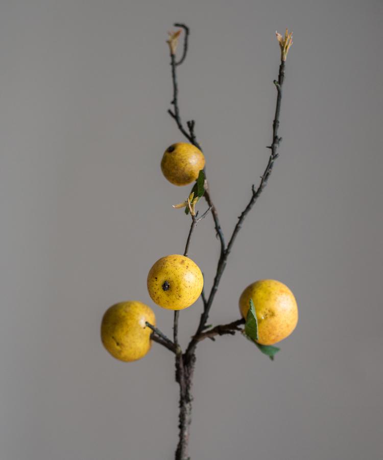 Artificial Yellow Apple Pear Stem