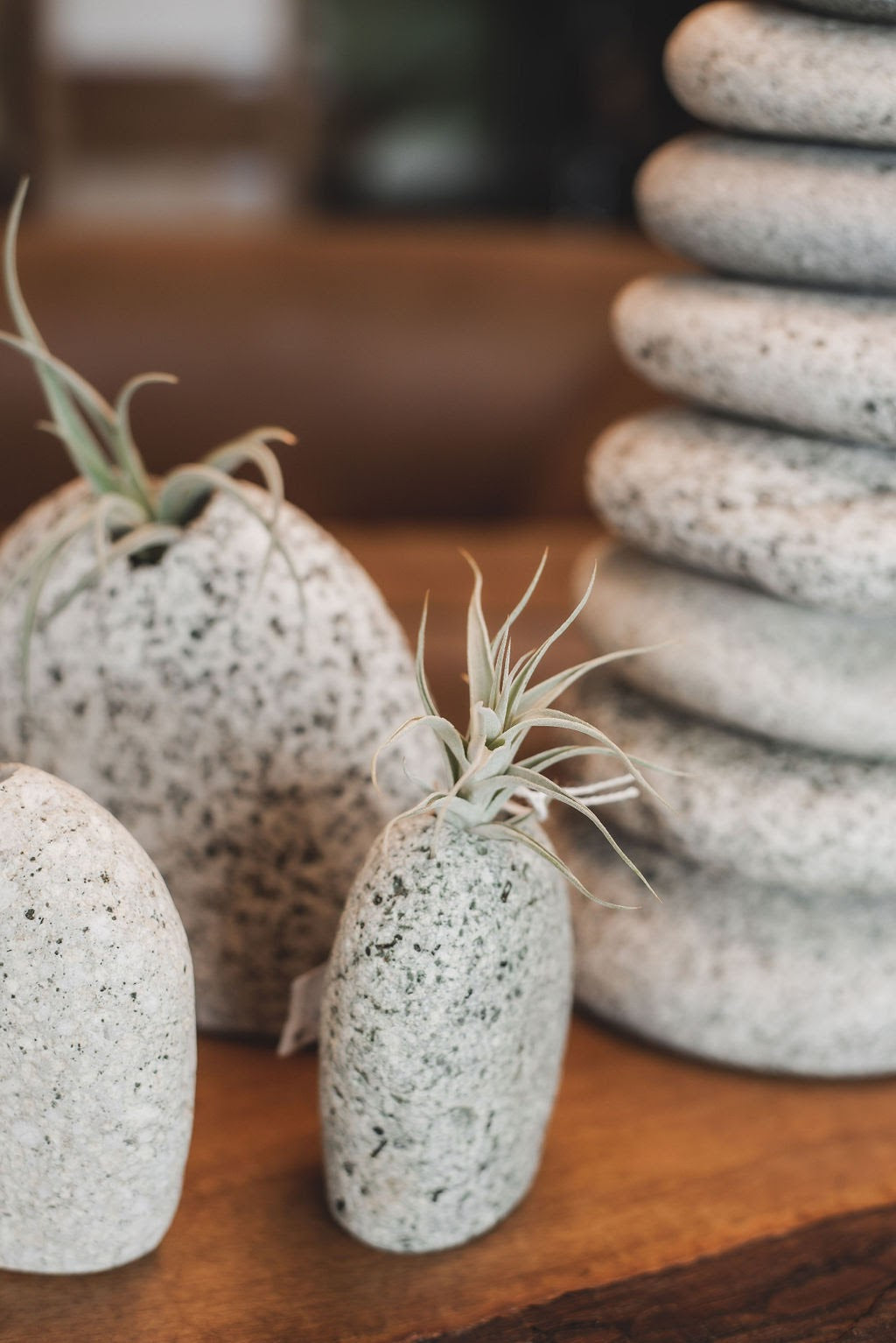 Beach Stone Vases