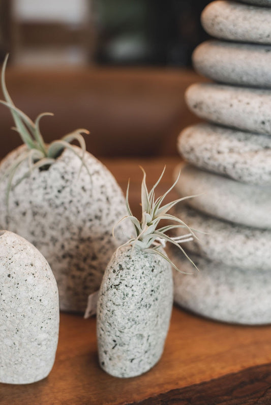 Beach Stone Vases