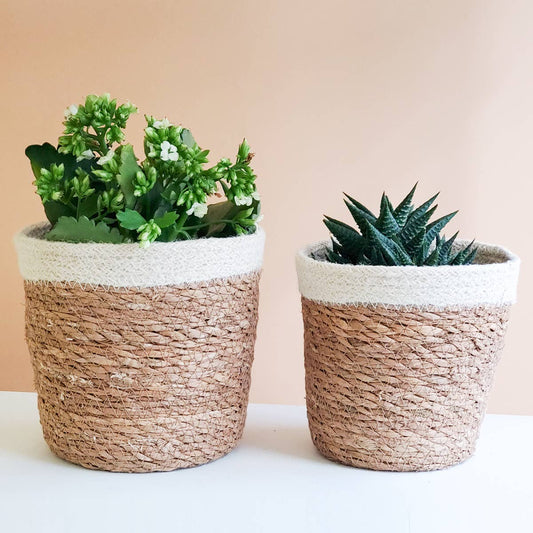 Handwoven Savar Plant Basket