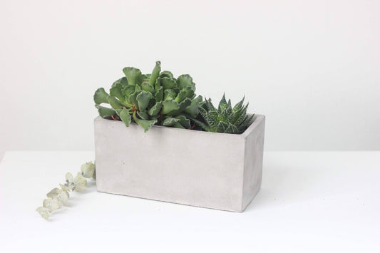 Concrete Rectangular Planter Box