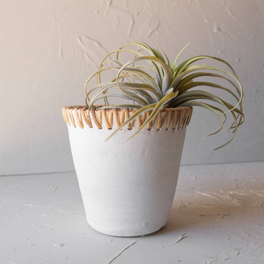 Mesa Terracotta Planter