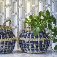 Daya Foldable Basket set of 2