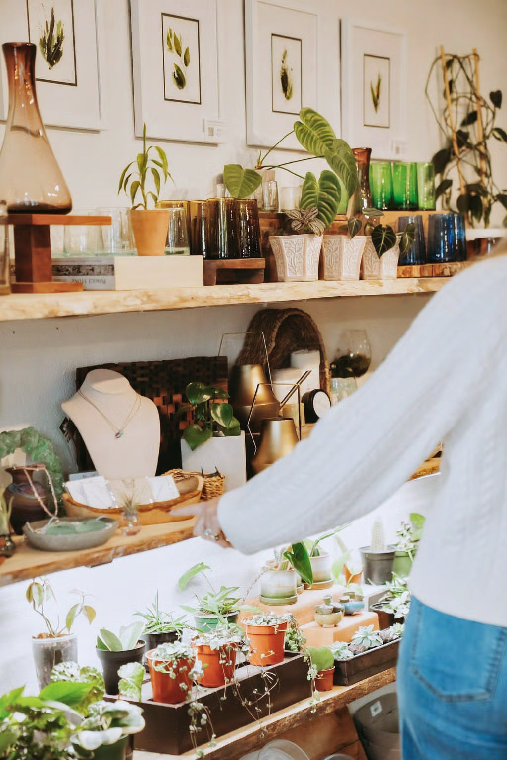 A display of plants and locally made jewelry at INSIDE