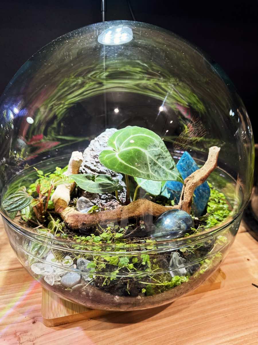 A round glass globe terrarium with moss, driftwood and blue stones, made at INSIDE