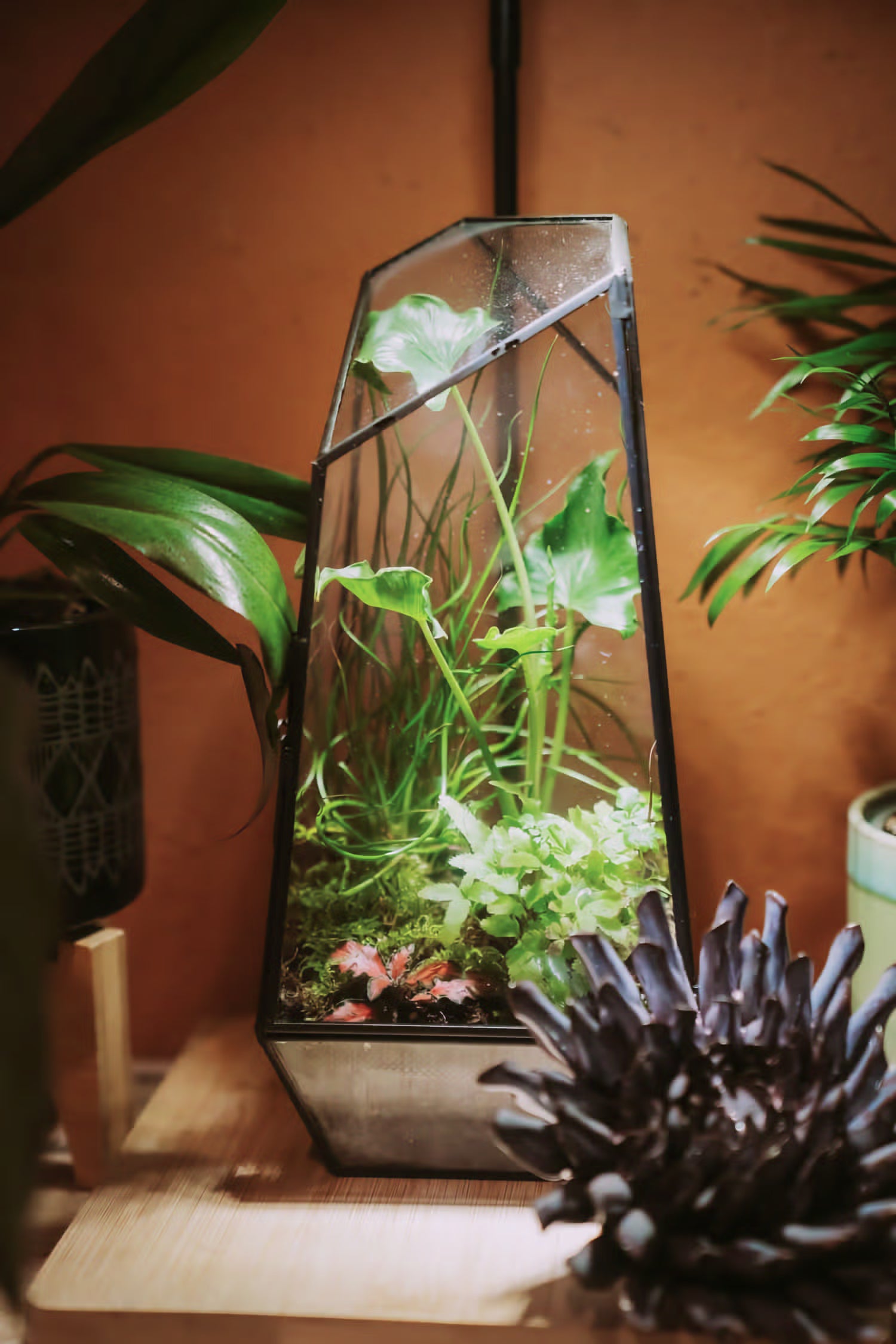 A tall glass terrarium on display at INSIDE