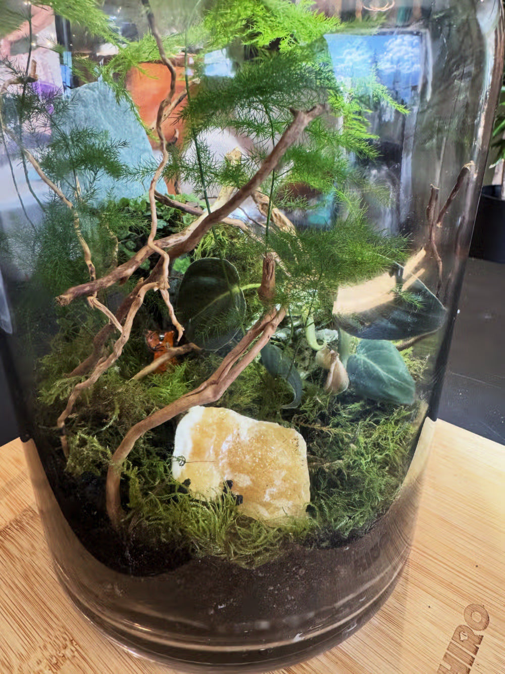 Hands layering soil and plants into a glass jar at an INSIDE terrarium workshop